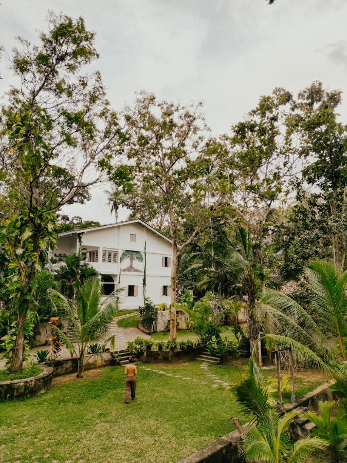 Kirinuga Boutique Retreat 호텔 탕갈레 외부 사진